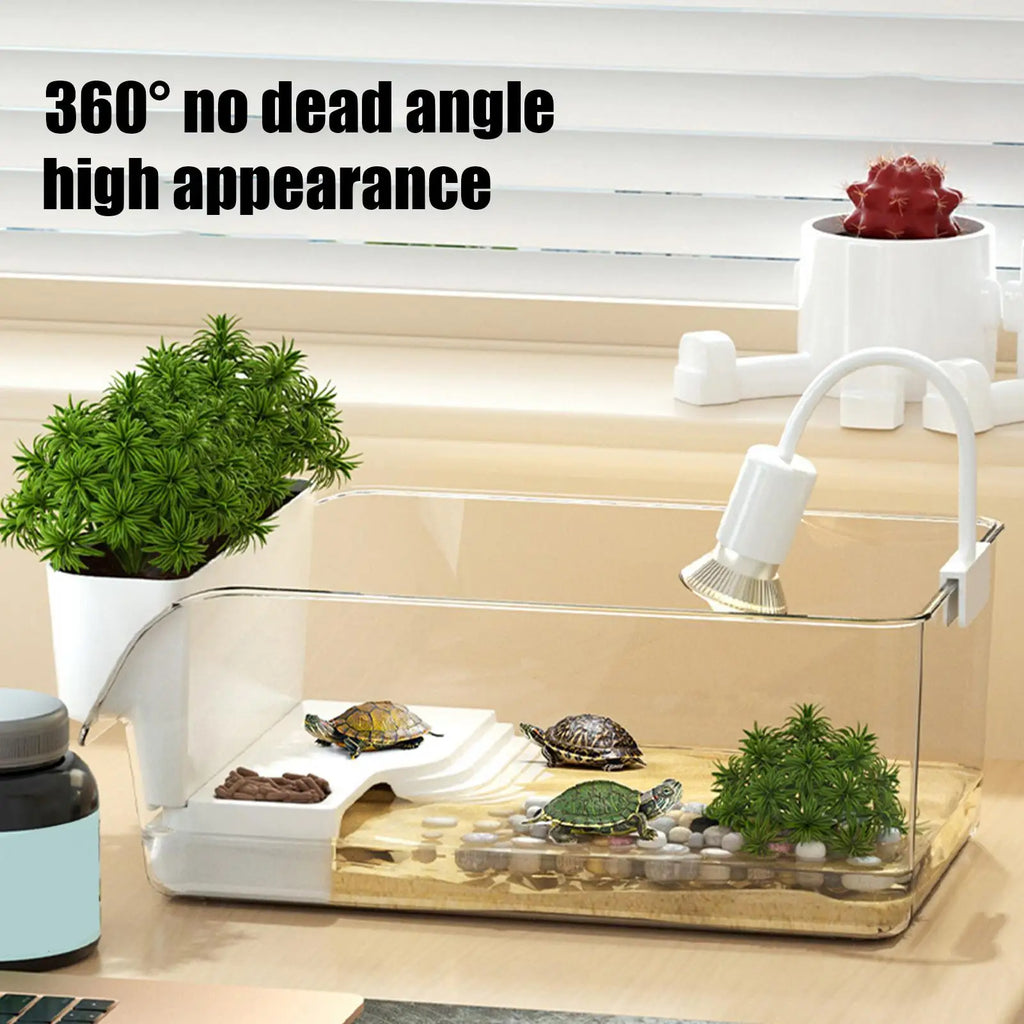Turtle Tank: Small Transparent Terrarium