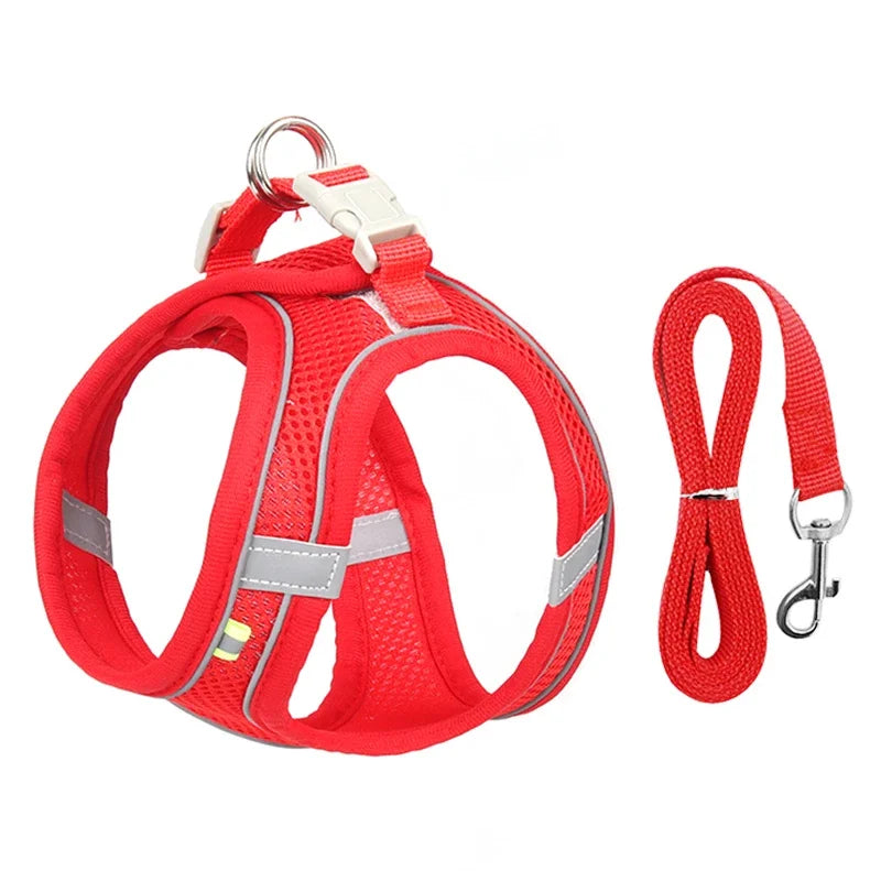 Adjustable Puppy & Cat Harness Vest Set with Leash — Perfect for Small Dogs, Chihuahuas & French Bulldogs!