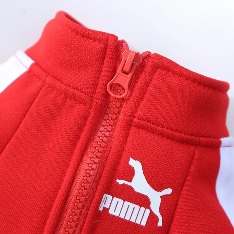 Baseball Dog Jacket (S-4XL)
