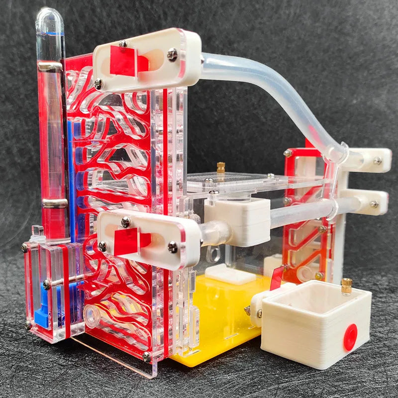 T Design DIY Ant Farm with Feeding Area