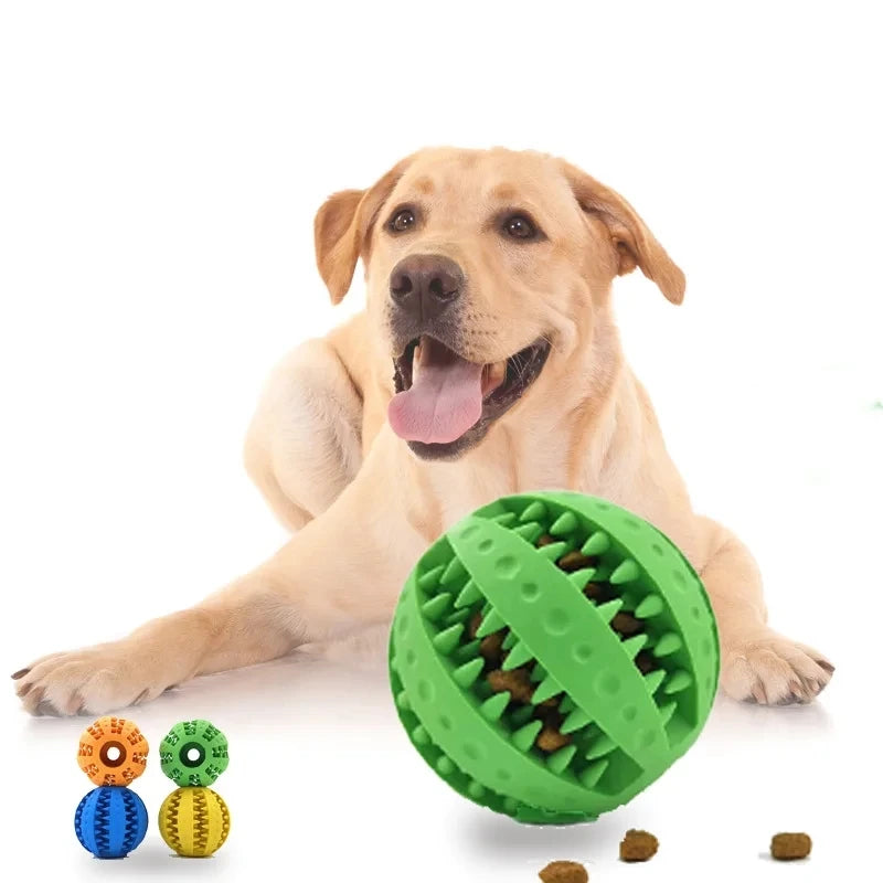 Indestructible Rubber Chew Ball for Dogs — Built for the Toughest Chewers!