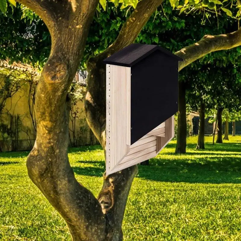 Outside Bat Habitat House – Reusable Wood Shelter