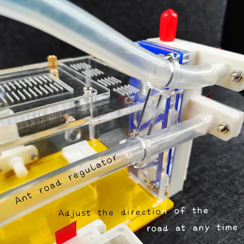 T Design DIY Ant Farm with Feeding Area