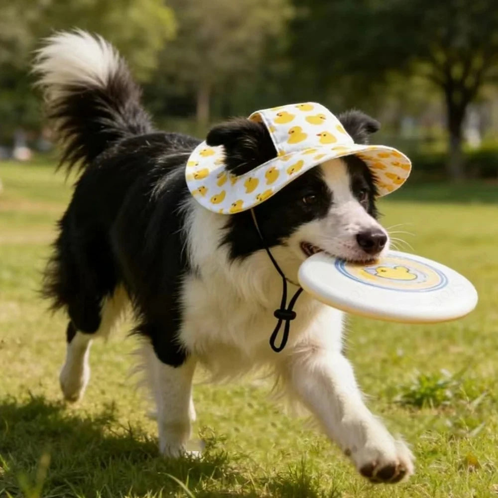 Adjustable Cute Print Dog Hat for Small & Medium Dogs