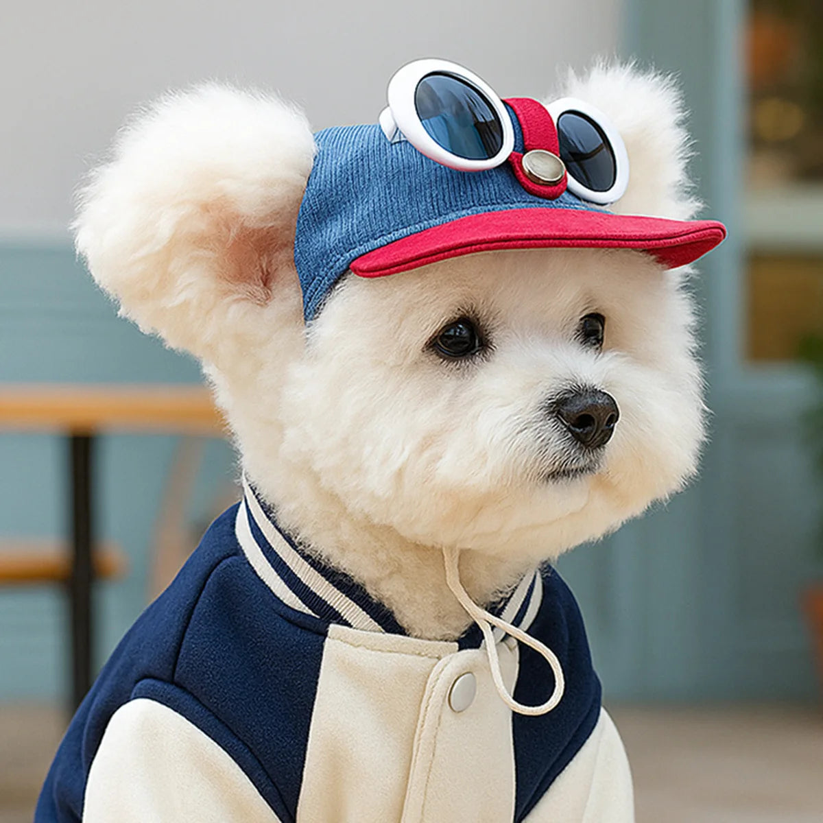 Two-Piece Pet Sun Hat & Sunglasses Set