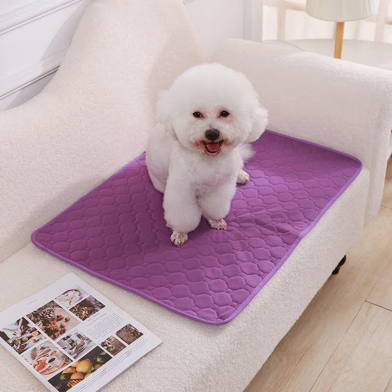 Reusable Washable Dog Pee Pad & Training Mat — Absorbent, Eco-Friendly & Multi-Use!