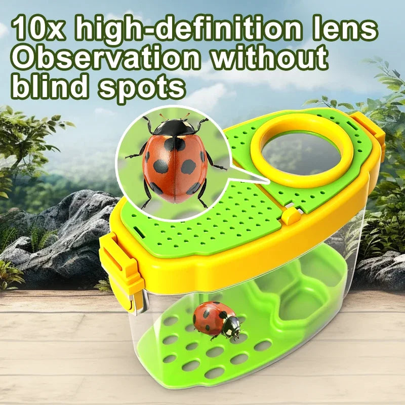 Insect Box Magnifier Kit