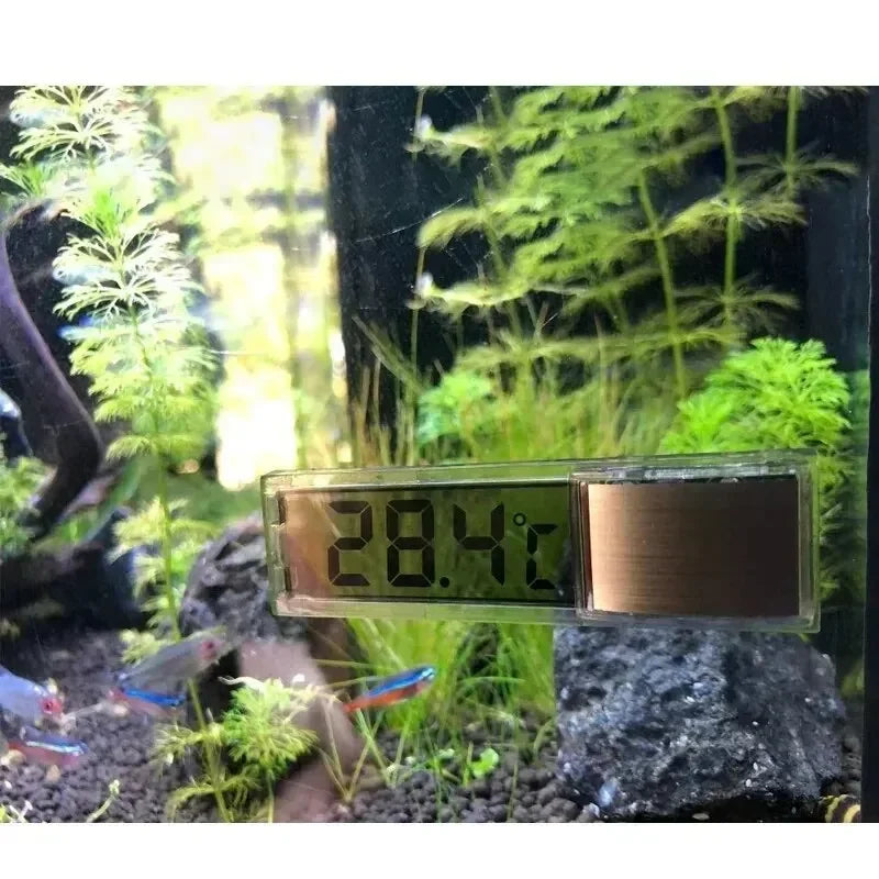 Digital Aquarium Thermometer