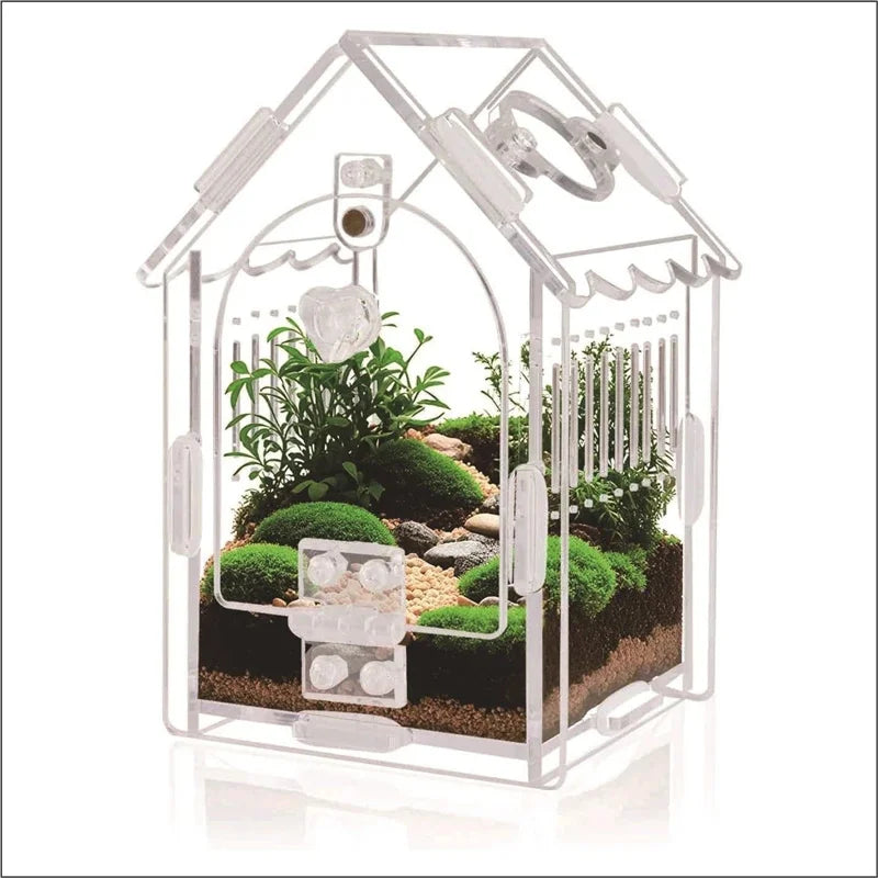 Acrylic Mini Pet Terrarium (Desk Accessory)