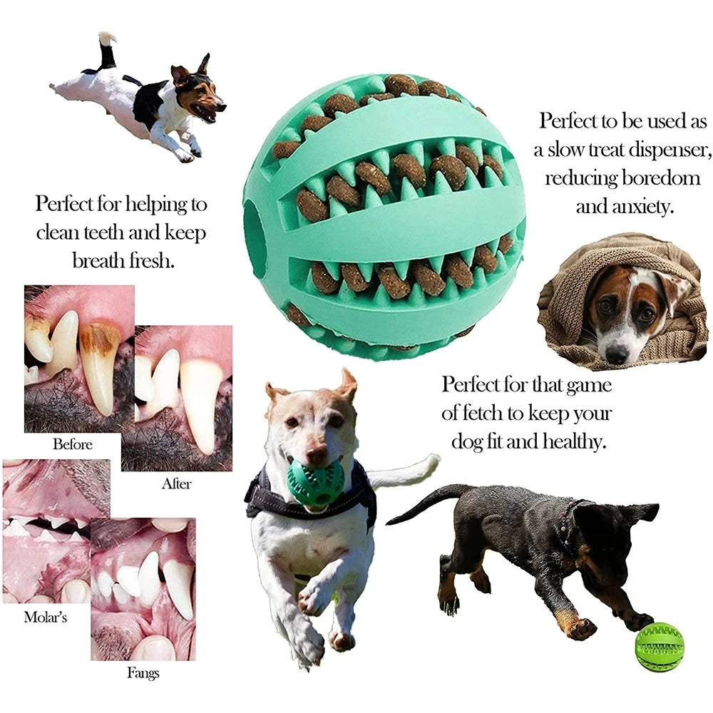 Indestructible Rubber Chew Ball for Dogs — Built for the Toughest Chewers!