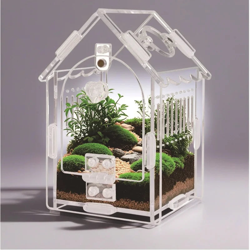 Acrylic Mini Pet Terrarium (Desk Accessory)