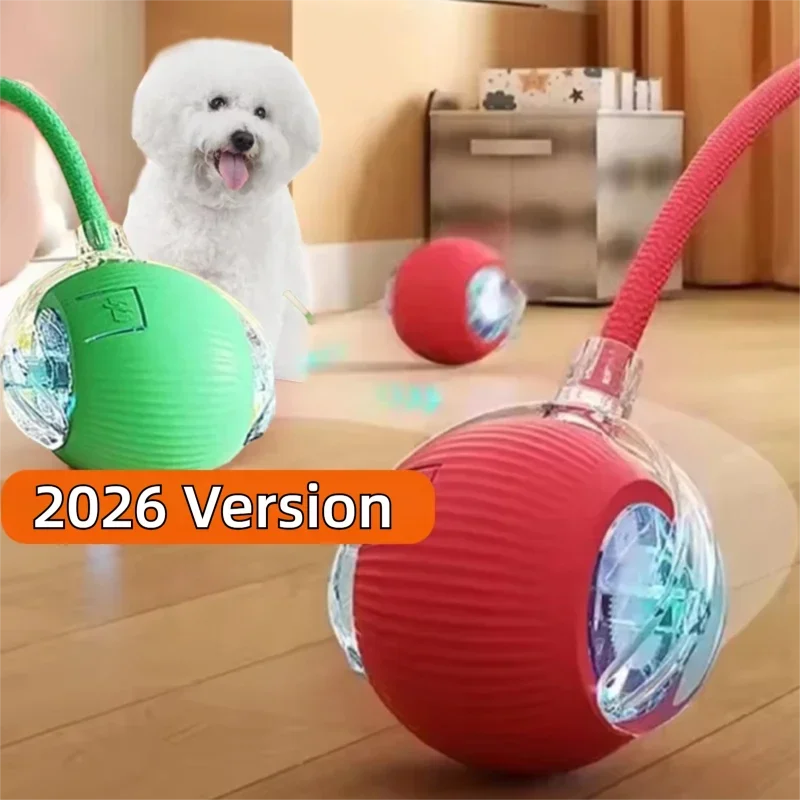 Automatic Rolling Interactive Dog Ball