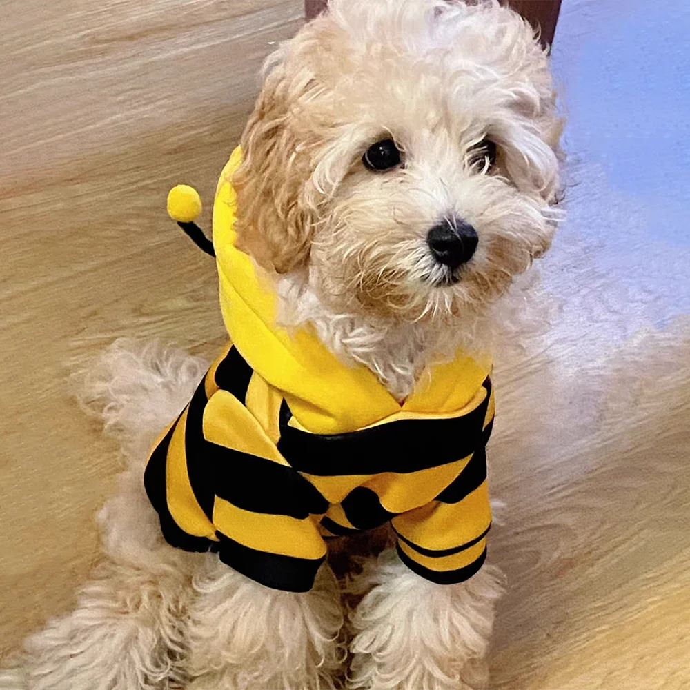 Bee Pet Puppy Coat Costume (Small/Med Dogs & Cats)