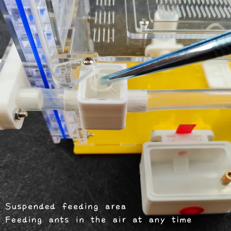 T Design DIY Ant Farm with Feeding Area
