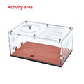 Infinitely Expandable Concrete Ant Nest