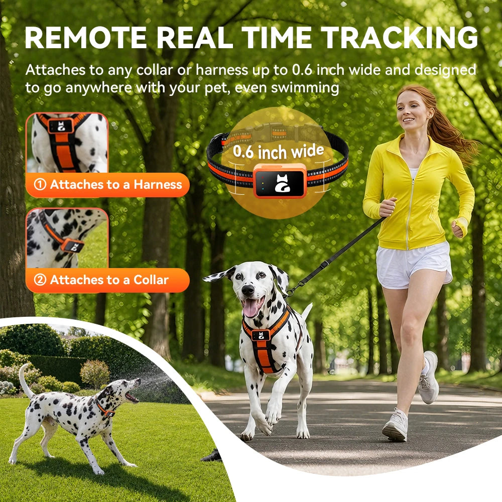 4G GPS Tracker Collar for Pets