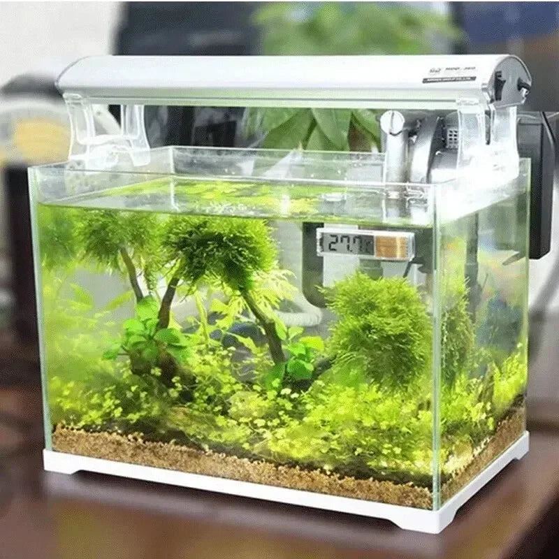 Digital Aquarium Thermometer