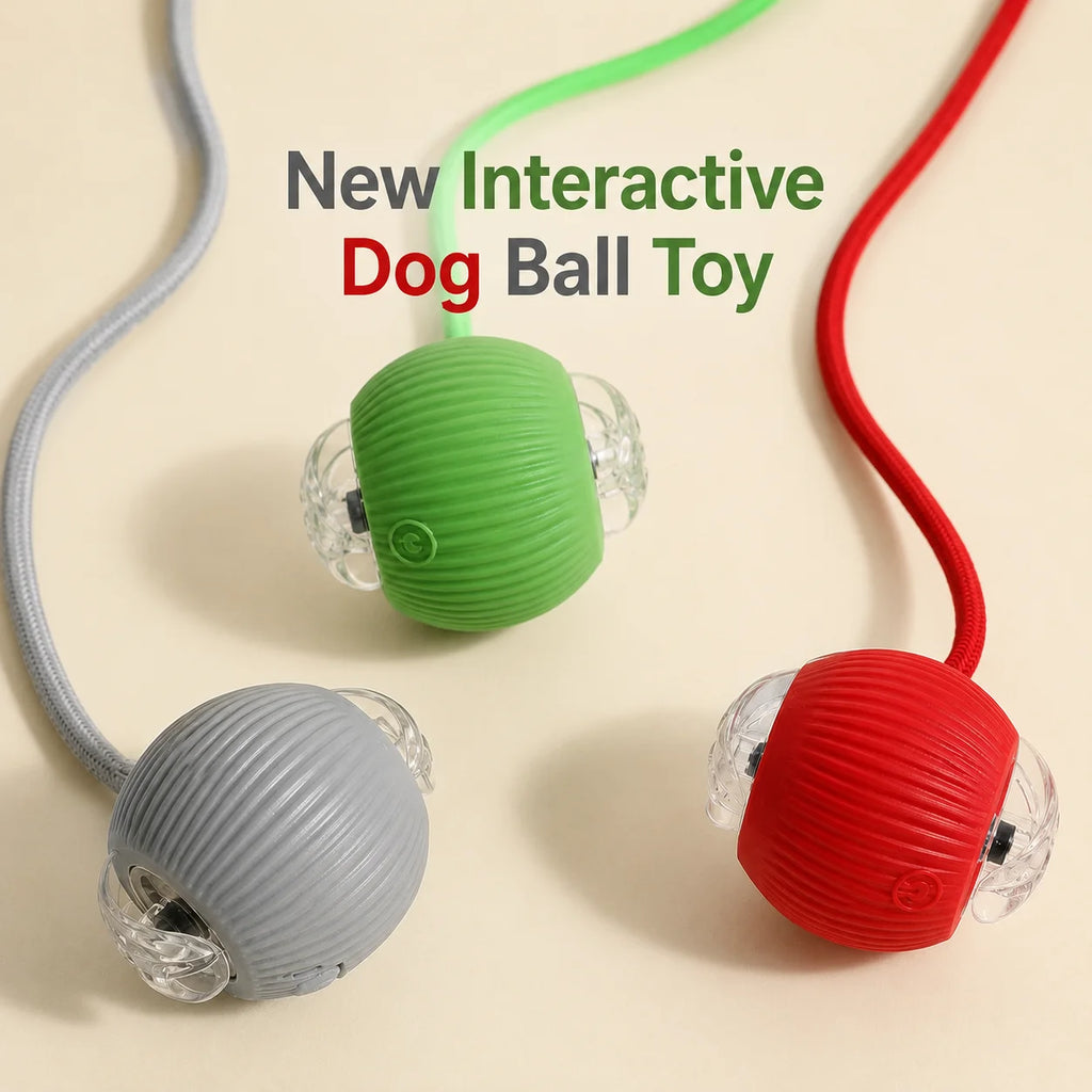 Automatic Rolling Interactive Dog Ball