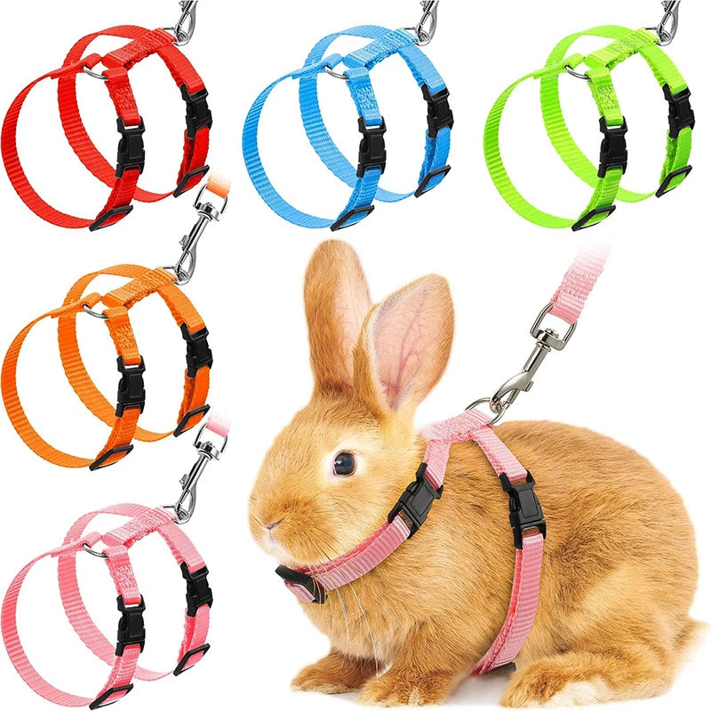 Cat Bunny Harness Set