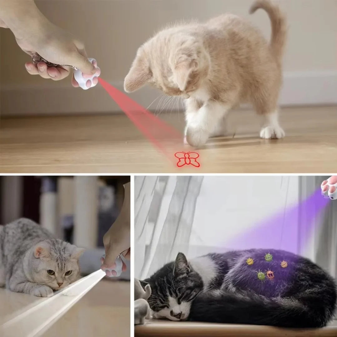 4-in-1 Cat Infrared Teaser Keychain